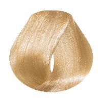 EVO - hue.verse 100ml permanent colour 10.3 EVO - hue.verse 100ml permanent colour 10.3